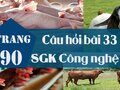 Câu hỏi bài 33 trang 90 SGK Công nghệ 7