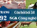 Câu hỏi bài 34 trang 92 SGK Công nghệ 7