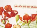 Cách lập dàn ý bài văn tả cây phượng ngắn gọn tới chi tiết