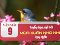 Tuyển chọn mở bài Mùa xuân nho nhỏ hay nhất