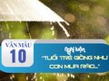 Nghị luận xã hội Tuổi trẻ giống như cơn mưa rào