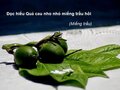 Đọc hiểu Quả cau nho nhỏ miếng trầu hôi (Miếng trầu)