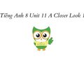 Tiếng Anh 8 Unit 11 A Closer Look 1