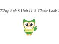Tiếng Anh 8 Unit 11 A Closer Look 2