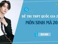 Đáp án đề 203 môn Sinh 2022 - Đề thi thpt quốc gia 2022 môn Sinh mã 203