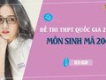 Đáp án đề 204 môn Sinh 2022 - Đề thi thpt quốc gia 2022 môn Sinh mã 204