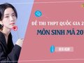 Đáp án đề 207 môn Sinh 2022 - Đề thi thpt quốc gia 2022 môn Sinh mã 207