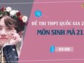 Đáp án đề 211 môn Sinh 2022 - Đề thi thpt quốc gia 2022 môn Sinh mã 211