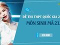 Đáp án đề 212 môn Sinh 2022 - Đề thi thpt quốc gia 2022 môn Sinh mã 212