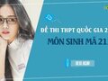 Đáp án đề 213 môn Sinh 2022 - Đề thi thpt quốc gia 2022 môn Sinh mã 213