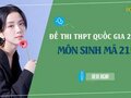 Đáp án đề 215 môn Sinh 2022 - Đề thi thpt quốc gia 2022 môn Sinh mã 215