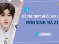 Đáp án đề 217 môn Sinh 2022 - Đề thi thpt quốc gia 2022 môn Sinh mã 217
