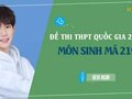 Đáp án đề 219 môn Sinh 2022 - Đề thi thpt quốc gia 2022 môn Sinh mã 219