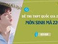 Đáp án đề 220 môn Sinh 2022 - Đề thi thpt quốc gia 2022 môn Sinh mã 220