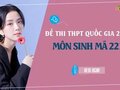 Đáp án đề 221 môn Sinh 2022 - Đề thi thpt quốc gia 2022 môn Sinh mã 221