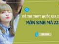 Đáp án đề 222 môn Sinh 2022 - Đề thi thpt quốc gia 2022 môn Sinh mã 222