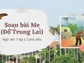 Soạn bài Mẹ Cánh diều