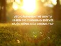 Việc cảm nhận thế giới tự nhiên có ý nghĩa gì đối với cuộc sống của chúng ta?