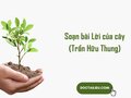 Soạn bài Lời của cây Trần Hữu Thung