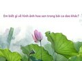 Em biết gì về hình ảnh hoa sen trong bài ca dao khác?