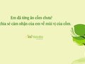 Em đã từng ăn cốm chưa? Hãy chia sẻ cảm nhận của em về mùi vị của cốm