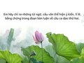 Em hãy chỉ ra những từ ngữ, câu văn thể hiện ý kiến, lí lẽ, bằng chứng