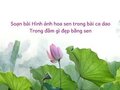 Soạn bài Hình ảnh hoa sen trong bài ca dao Trong đầm gì đẹp bằng sen