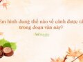 Em hình dung thế nào về cảnh được tả trong đoạn văn này?