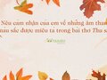 Cảm nhận về những âm thanh, màu sắc được miêu tả trong bài thơ Thu sang