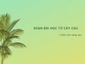 Soạn Bài học từ cây cau - Chân trời sáng tạo