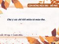 Chú ý các chi tiết miêu tả mùa thu trong bài Cảm xúc mùa thu