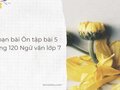 Soạn bài Ôn tập bài 5 trang 120 Ngữ văn 7 Chân trời sáng tạo