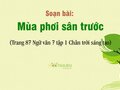 Soạn bài Mùa phơi sân trước