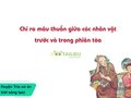 Chỉ ra mâu thuẫn giữa các nhân vật trước và trong phiên tòa