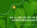 Giải KHTN 7 Bài 23 Kết nối tri thức