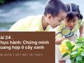 Giải KHTN 7 Bài 24 Kết nối tri thức
