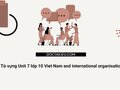 Từ vựng Unit 7 lớp 10 Viet Nam and international organisations