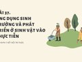 Giải KHTN 7 Bài 37 Kết nối tri thức