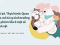 Giải KHTN 7 Bài 38 Kết nối tri thức