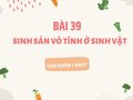 Giải KHTN 7 Bài 39 Kết nối tri thức