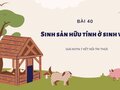 Giải KHTN 7 Bài 40 Kết nối tri thức