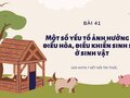 Giải KHTN 7 Bài 41 Kết nối tri thức