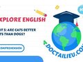 Comprehension Unit 5 lớp 7 Explore English