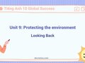 Unit 9 lớp 10 Global Success Looking Back