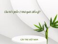 Câu kết phần 2 Cây tre Việt Nam khái quát điều gì?