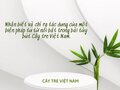 Tác dụng của một biện pháp tu từ nổi bật trong Cây tre Việt Nam