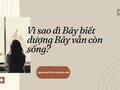 Vì sao dì Bảy biết dượng Bảy vẫn còn sống?