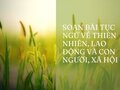Soạn bài Tục ngữ về thiên nhiên, lao động và con người, xã hội (1)