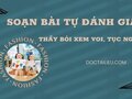 Soạn bài Tự đánh giá Thầy bói xem voi, Tục ngữ 