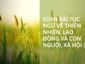Soạn bài Tục ngữ về thiên nhiên, lao động và con người, xã hội (2)